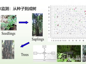 丛林法则下的高效上树技巧与方法解析