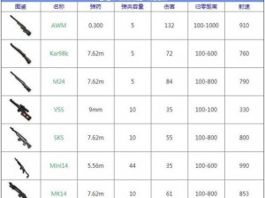 绝地求生：枪械计数器功能解析与查看方法详解