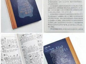 汉字梗传墓揭秘：17字通关攻略大揭秘与汉字奥秘分享