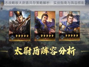 三国志战略版太尉盾共存策略解析：实战指南与阵容搭配之道