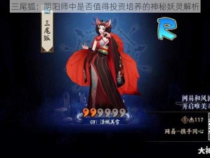 三尾狐：阴阳师中是否值得投资培养的神秘妖灵解析