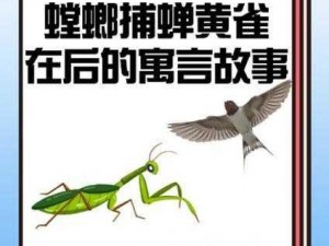 黄雀之智：螳螂捕蝉背后的光荣使命与策略性观察