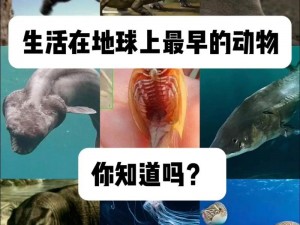 十大最弱怪兽揭秘：探寻力量之底的神秘生物探索之旅