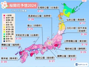 樱花官网官方入门网站2023、樱花官网官方入门网站 2023 网址是什么？