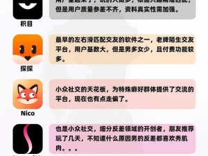 真人社交：探索现代社交软件的全新维度与互动体验