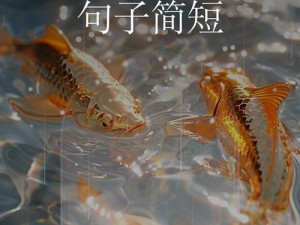 黄龙直捣溪水潺潺、黄龙直捣，溪水潺潺，瀑布如练挂川前