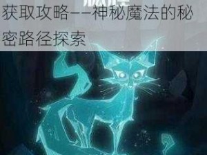 哈利波特：觉醒守护神狐狸获取攻略——神秘魔法的秘密路径探索