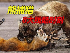 创造与魔法：熊的神秘捕猎手法：探寻其独特的抓握之道