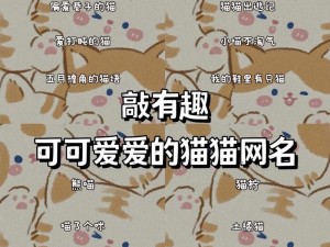 猫咪 wwww 最新地域网名怎么取，只需简单几步，快速生成专属网名