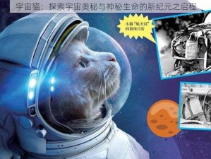 宇宙猫：探索宇宙奥秘与神秘生命的新纪元之启程