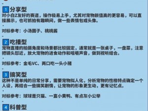 宠物获取途径解析与宠物品质分类探讨：揭秘宠物世界的全方位指南