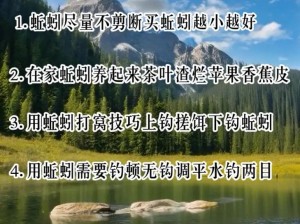 黎明之海钓鱼玩法详解：钓鱼攻略与指南助你轻松掌握钓鱼技巧