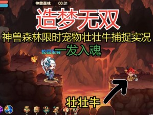 探索造梦无双神兽森林，掌握秘技捕捉攻略