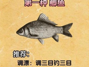 深度攻略：掌握沉底钓黑鲷技巧，轻松成为钓鱼高手