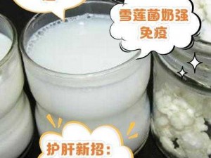 牛奶泡雪莲菌：营养功效揭秘，滋养身体新选择