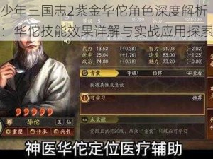 少年三国志2紫金华佗角色深度解析：华佗技能效果详解与实战应用探索