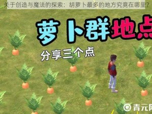 关于创造与魔法的探索：胡萝卜最多的地方究竟在哪里？