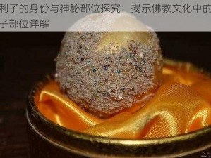 舍利子的身份与神秘部位探究：揭示佛教文化中的舍利子部位详解