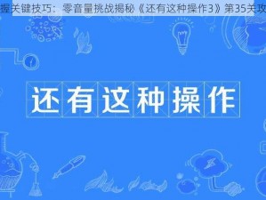 掌握关键技巧：零音量挑战揭秘《还有这种操作3》第35关攻略