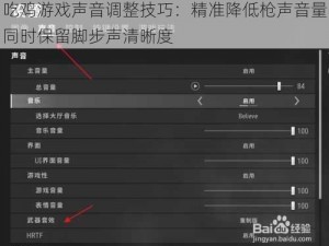 吃鸡游戏声音调整技巧：精准降低枪声音量同时保留脚步声清晰度