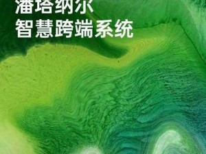 关于潘塔纳尔系统的简介与详解：深入解析潘塔纳尔系统是什么及其功能优势