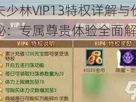 功夫少林VIP13特权详解与价格揭秘：专属尊贵体验全面解读