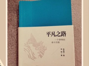 打工日记：平凡叔叔的奋斗之路，一部激励人心的小说