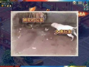 梦幻西游手游大唐时代全新变身攻略：策略大师带你玩转大唐盛世