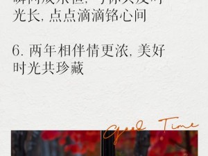 时光如织共携手，携手前行共庆祝——我们的两周年快乐纪念时刻