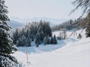 雪居之地计数：探寻冬季最美丽的居住胜地与独特雪景统计之旅