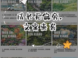 关于深化选材之路，解读羁绊力量的全新探索之旅——从心而生的强化选择艺术解析