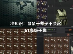 暗区突围AP镇痛片全面解析：属性特点大揭秘