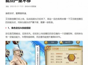 新航海时代：燃烧意志下的新艾尼路深度解析：性能与实用度探讨