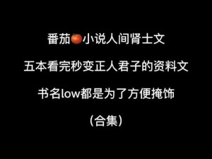 大尺码适合晚上看的小说、大尺码小说：满足你猎奇心理的深夜读物