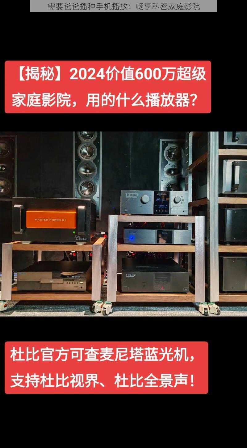 需要爸爸播种手机播放:畅享私密家庭影院