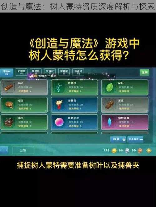 创造与魔法：树人蒙特资质深度解析与探索