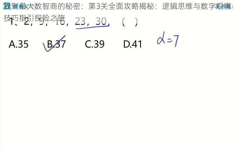 找到最大数智商的秘密：第3关全面攻略揭秘：逻辑思维与数字观察技巧指引探险之旅