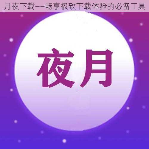 月夜下载——畅享极致下载体验的必备工具