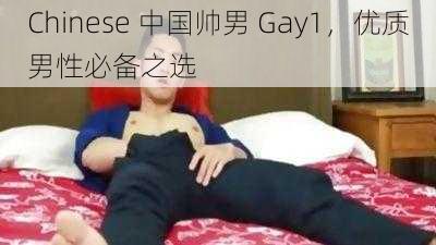 Chinese 中国帅男 Gay1，优质男性必备之选