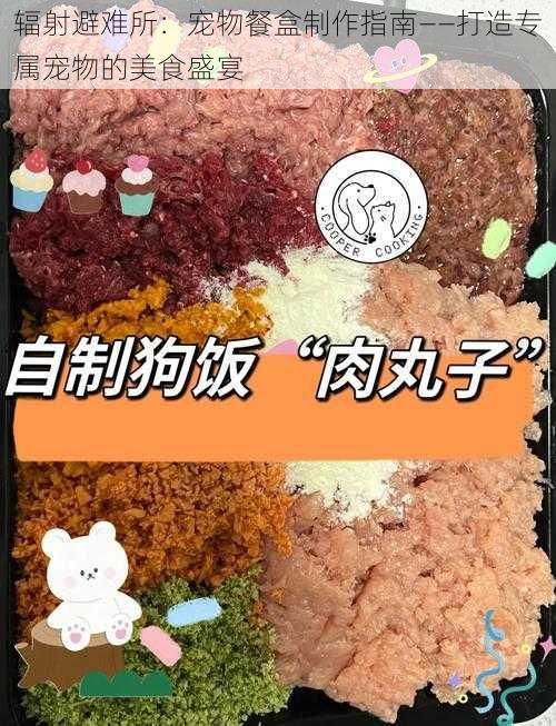 辐射避难所：宠物餐盒制作指南——打造专属宠物的美食盛宴