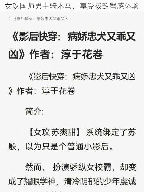 女攻国师男主骑木马，享受极致臀感体验