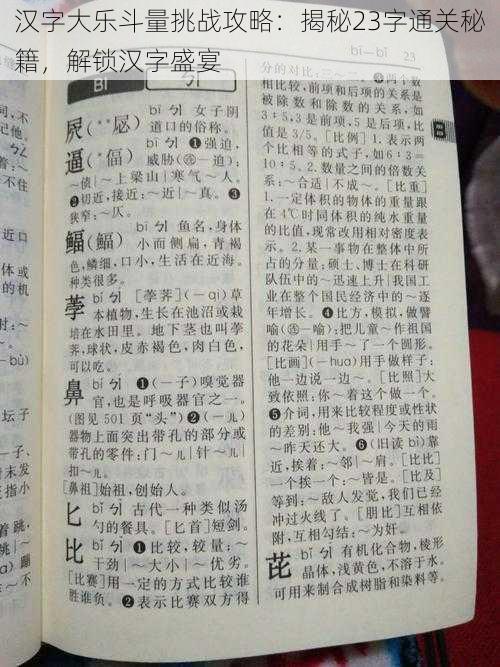 汉字大乐斗量挑战攻略：揭秘23字通关秘籍，解锁汉字盛宴