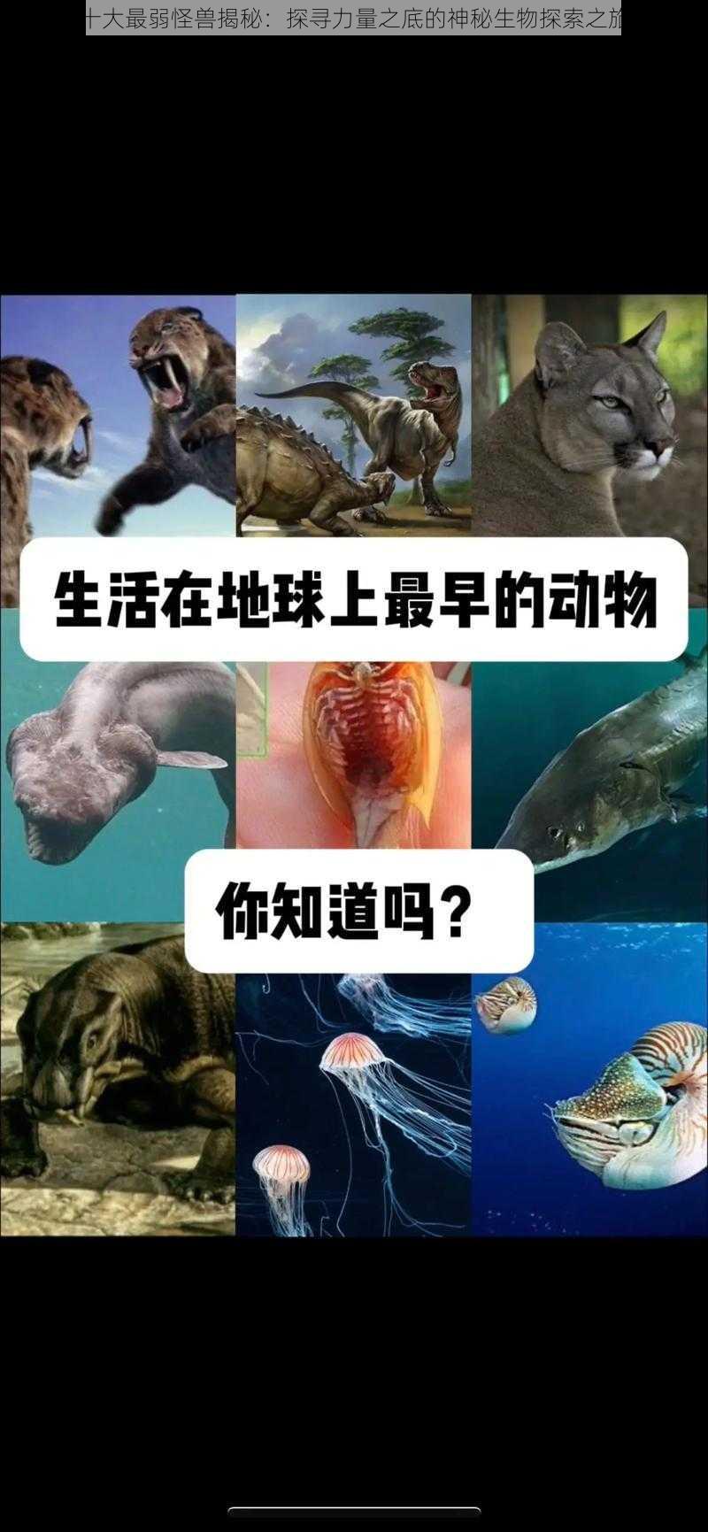 十大最弱怪兽揭秘：探寻力量之底的神秘生物探索之旅