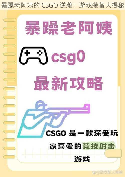 暴躁老阿姨的 CSGO 逆袭：游戏装备大揭秘