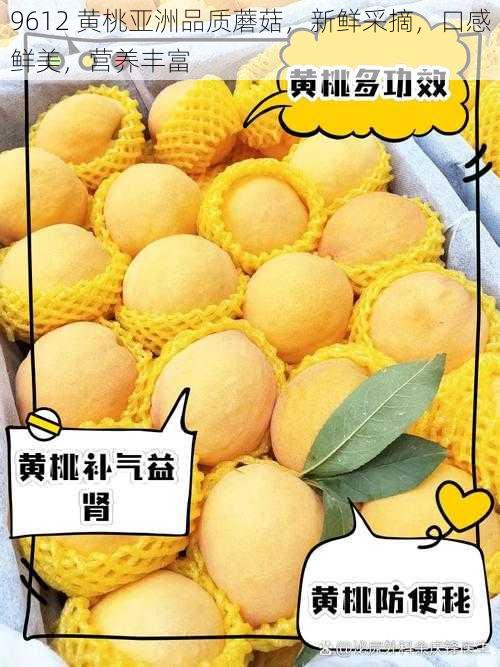 9612 黄桃亚洲品质蘑菇，新鲜采摘，口感鲜美，营养丰富