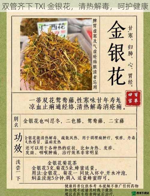 双管齐下 TXl 金银花，清热解毒，呵护健康