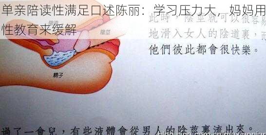 单亲陪读性满足口述陈丽：学习压力大，妈妈用性教育来缓解