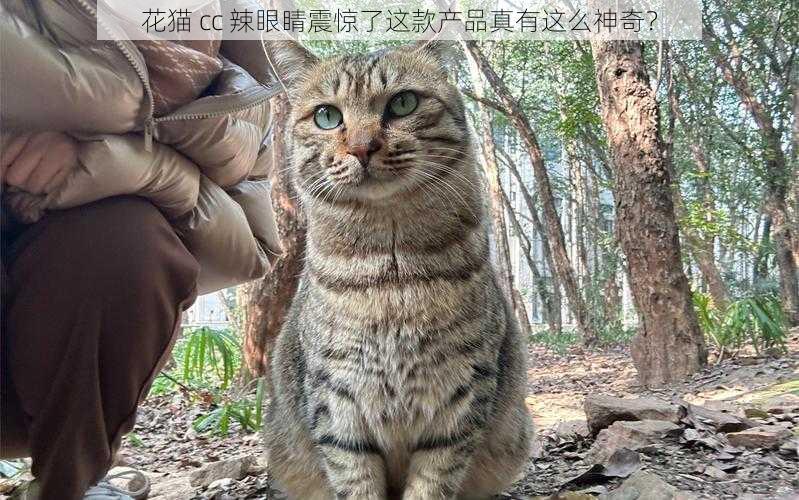 花猫 cc 辣眼睛震惊了这款产品真有这么神奇？