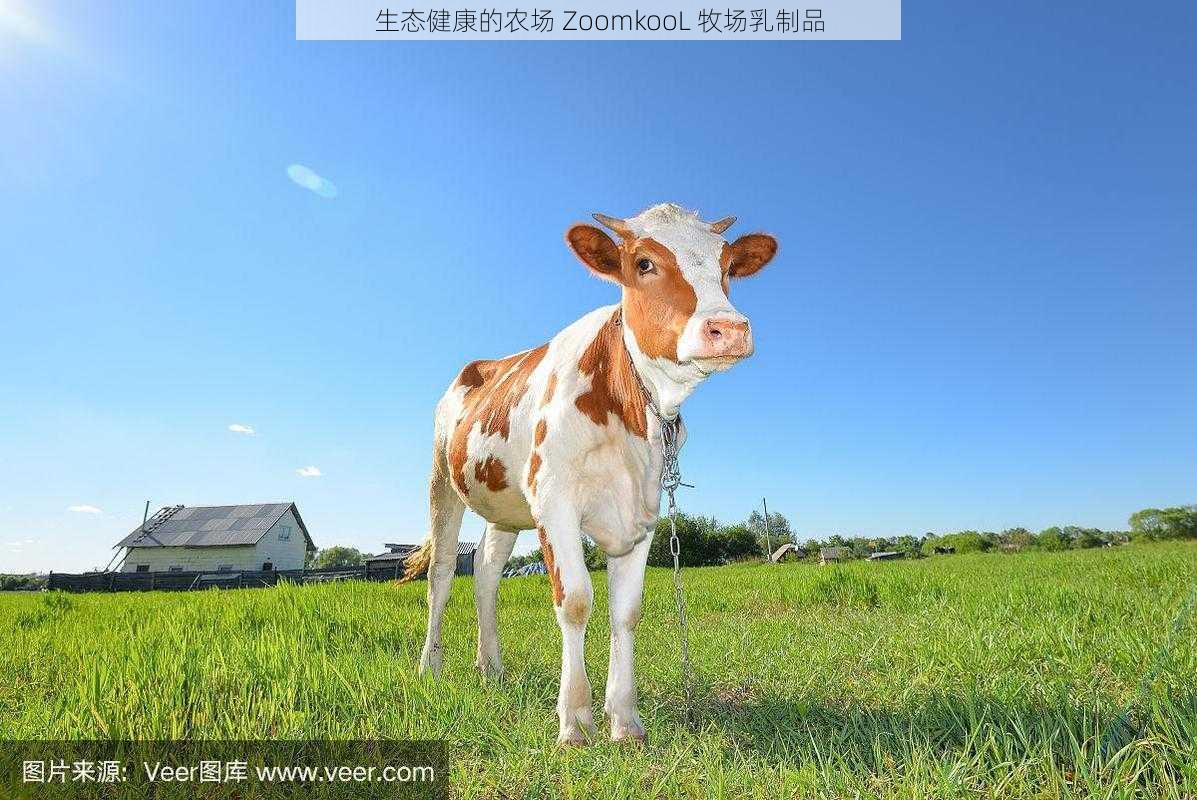 生态健康的农场 ZoomkooL 牧场乳制品