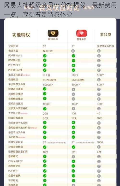 网易大神超级会员V5价格揭秘：最新费用一览，享受尊贵特权体验